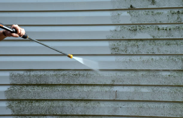 Best Post-Flood Mold Remediation in The Plains, OH